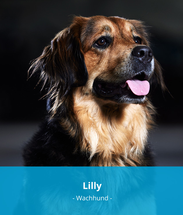 Lilly - Wachhund