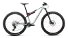 Orbea OIZ M30 L Frozen Concrete - Sunset Carbon View (Matt)