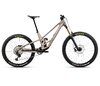 Orbea RALLON 450 E-TEAM L Nickel (Matt) - Nickel Chrome (Gloss)