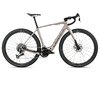 Orbea DENNA M11e XS Nickel Matt - Carbon Raw Gloss