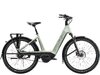 Trek Charter+ 4 N5 B 800 LS S Lichen Green