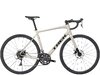 Trek Domane AL 2 58 Gloss Supernova