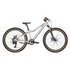 Scott Scale 24 disc silver - Raw Alloy - One size